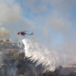 Roma, incendio Monte Mario: danni ingenti a flora e fauna