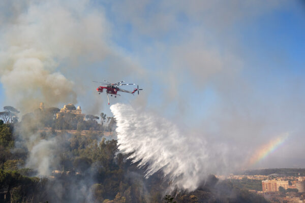 Roma, incendio Monte Mario: danni ingenti a flora e fauna