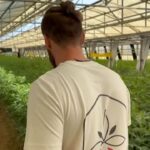 Cannabis light, i timori dell’imprenditore: “Investiti milioni di euro e ora?”