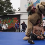 Messico, il “cucciolo luchador” che ha conquistato il mondo del Wrestling