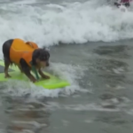 Usa, in California il campionato mondiale di surf per cani