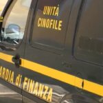 Teramo, Alba Adriatica: lavoratori in nero e alcolici ai minori al ‘Carnevale estivo’