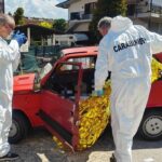 Roma, donna trovata morta in auto: pm dispone fermo del marito