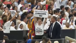 Vaticano, animalisti protestano durante l’udienza del Papa: “La corrida è peccato”