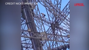 Parigi 2024, uomo si arrampica sulla Tour Eiffel: la scalata ripresa dai turisti