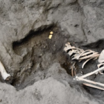 A Pompei trovati i resti di altre due vittime dell’eruzione, il direttore Zuchtriegel: “Vediamo il dolore delle persone”