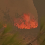 Grecia, enorme incendio minaccia le case: in fuga dalle fiamme ad Atene