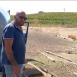 Siccità, la denuncia dell’allevatore di Trapani: “La situazione è grave, nessuno ci aiuta”