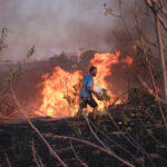 Incendi Grecia, trovato cadavere in periferia Vrilissia