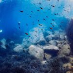 Legambiente, fuorilegge il 36% di mare e laghi