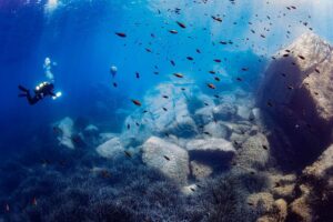 Greenpeace: dal Tirreno all'Adriatico, i cambiamenti climatici minacciano anche la biodiversità dei nostri mari