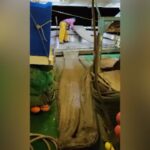 Mar Adriatico, pescatori alle prese con la mucillagine: la sostanza si accumula sulle reti