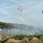Ravenna, incendio in una pineta: vigili del fuoco in azione