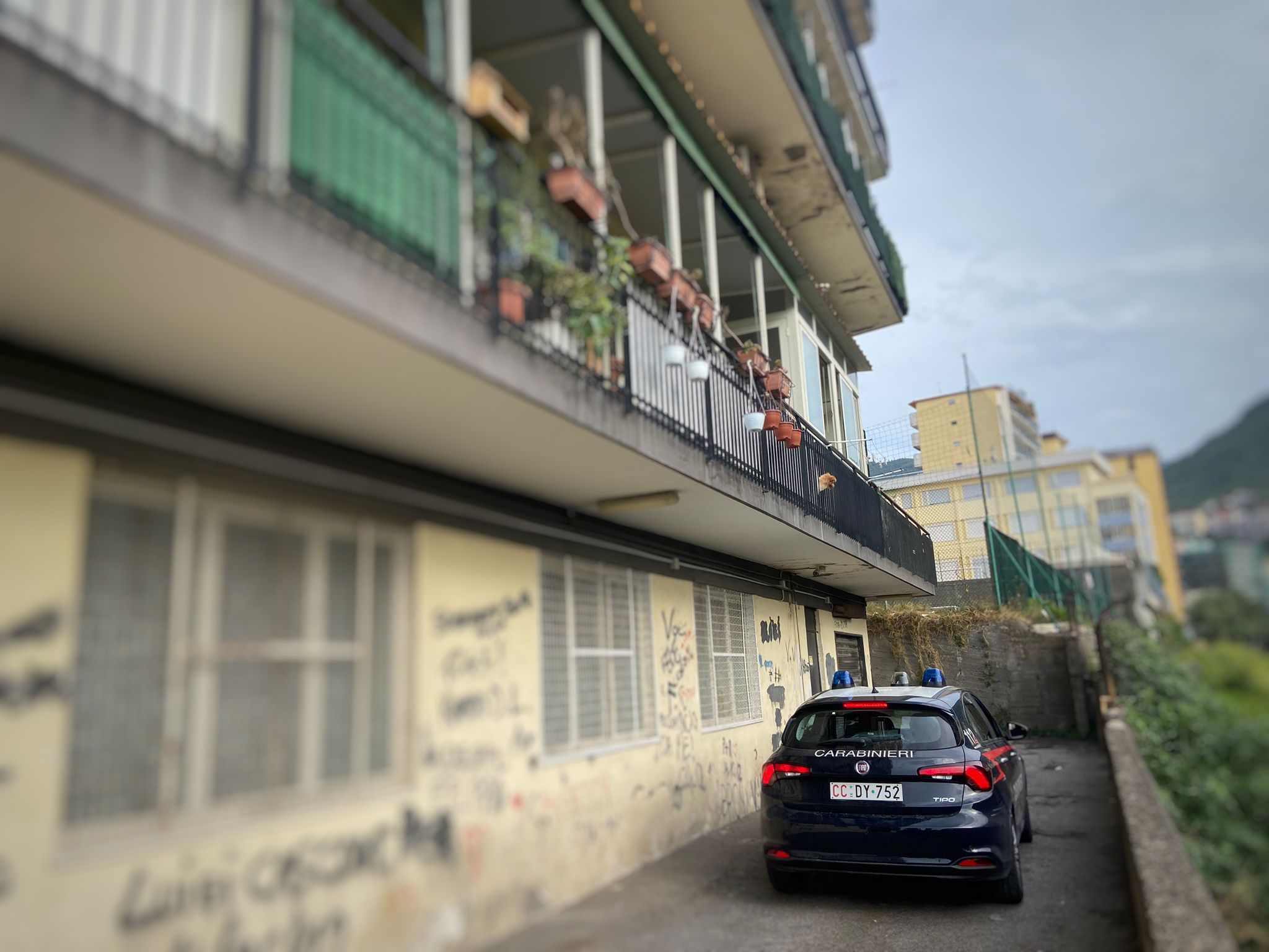 Napoli, tenta di uccidere il compagno: arrestata 30enne Napoli, tenta di uccidere il compagno: arrestata 30enne