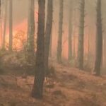 Turchia, incendi in una popolare destinazione turistica: le immagini
