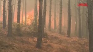 Turchia, incendi in una popolare destinazione turistica: le immagini