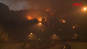 Incendi a Madeira, almeno 100 evacuati