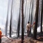 Turchia, vigili del fuoco al lavoro per mantenere sotto controllo gli incendi