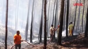 Turchia, vigili del fuoco al lavoro per mantenere sotto controllo gli incendi