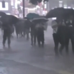 Tokyo, piogge torrenziali allagano la città: cancellati alcuni voli