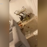 Israele, danni in una casa ad Acri colpita da Hezbollah: lo spavento di una bimba