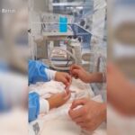 Il neonato cucciolo di panda nell’incubatrice allo zoo di Berlino