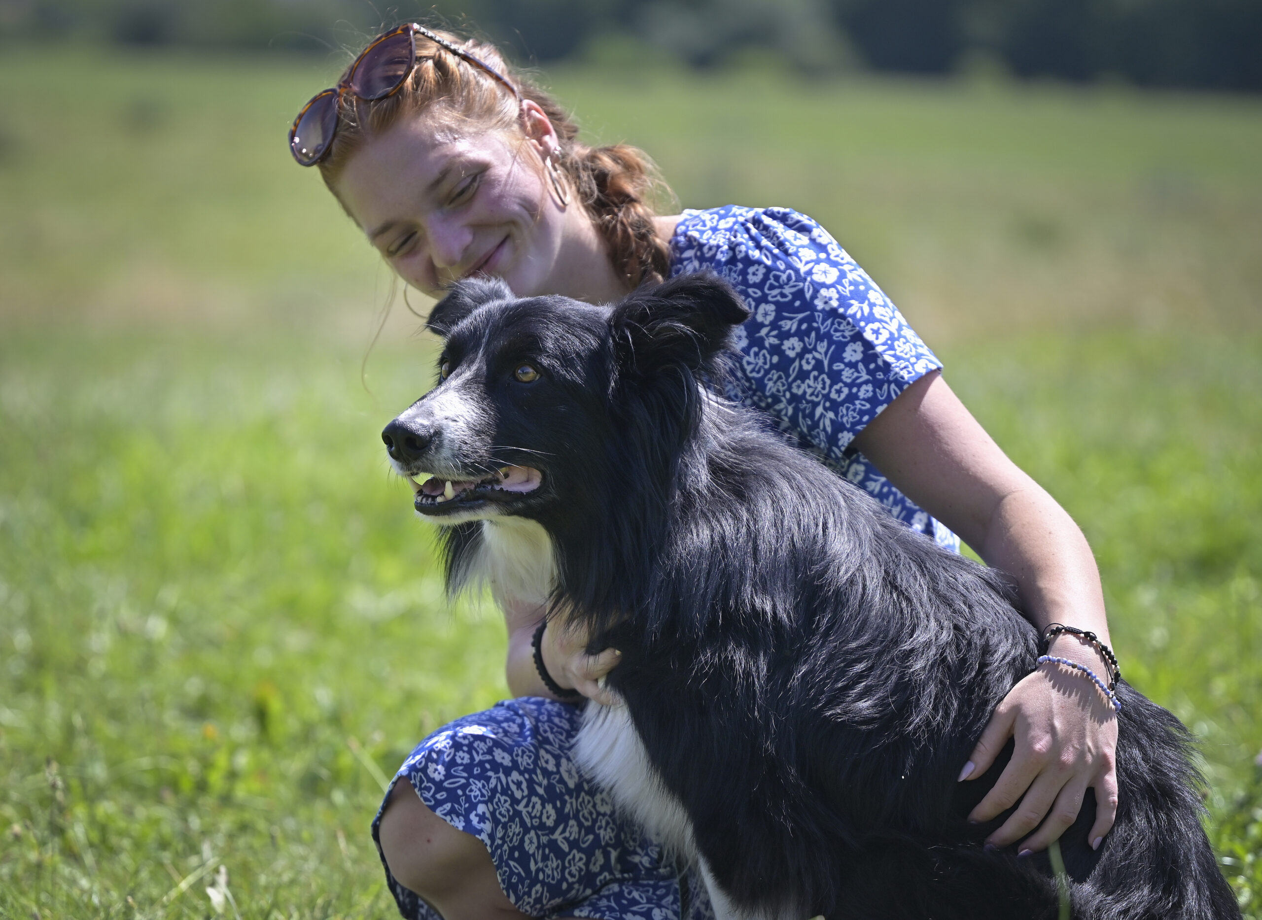 Il 26 agosto è la giornata mondiale del cane, perché si celebra oggi