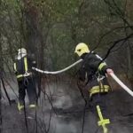 Kiev, incendi boschivi dopo un attacco della Russia: le operazioni dei vigili del fuoco