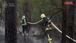 Kiev, incendi boschivi dopo un attacco della Russia: le operazioni dei vigili del fuoco