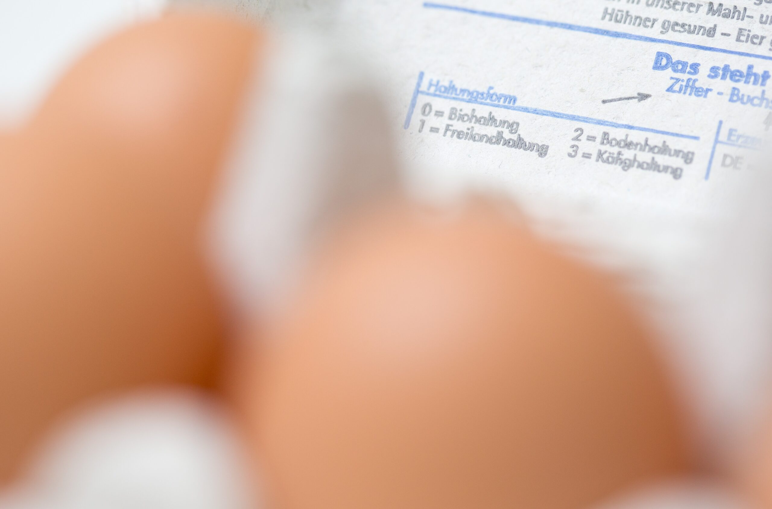 Uova contaminate da salmonella, diversi lotti ritirati da supermercati