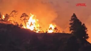 Ecuador, incendi bruciano il sud del Paese: tre feriti, diverse famiglie evacuate