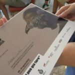 Calabria, consegna dei diplomi alla Summer School ‘Si può già fare’: “Bisogna fare rete”