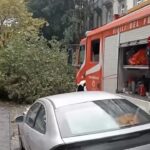Maltempo, a Napoli grosso albero caduto in via Bernini