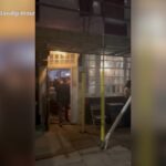 David Gilmour si esibisce a sorpresa in un piccolo pub con la figlia