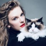 Usa 2024, Taylor Swift annuncia endorsement per Harris