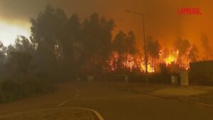 Portogallo, devastanti incendi nel nord del paese: abitanti in fuga