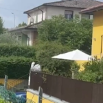 Traversetolo, i Ris nella villa dove sono stati sepolti i neonati
