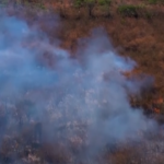 Brasile, le autorità: “Incendi boschivi appiccati intenzionalmente”