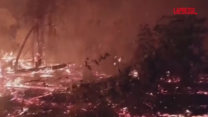 Perù, incendi devastano Paese: a fuoco oltre 3mila ettari di territorio