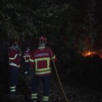 Portogallo, oltre cento incendi a nord del Paese: impegnati migliaia di vigili del fuoco