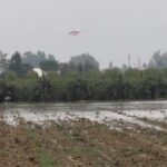 Maltempo in Emilia-Romagna, Traversara allagata