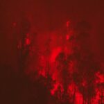 Ecuador, enorme incendio vicino a Quito: le fiamme illuminano la notte