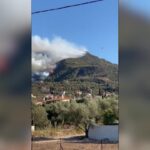 Grecia, incendio in una foresta a Xylokastro: fiamme alte spaventano i residenti