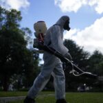 Dengue, 102 casi accertati nel Fanese: situazione monitorata