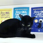 Nasce Premio Milo, dedicato a gatti diversamente abili