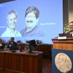 Il premio Nobel per la Medicina 2024 assegnato a Victor Ambros e Gary Ruvkun