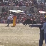 Bolivia, a Huarina il festival della Corrida
