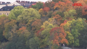 Stoccolma, la città cambia colore con l’arrivo dell’autunno