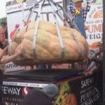 Halloween, la zucca più grande del mondo arriva dal Minnesota: pesa oltre 2mila kg