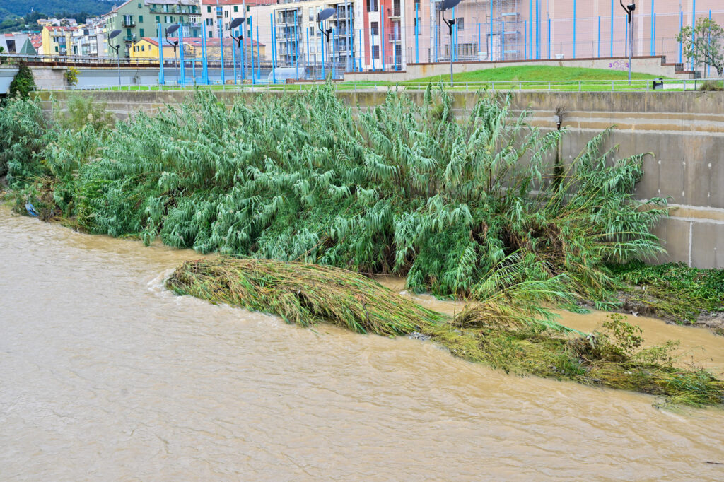 Galleria foto 'Maltempo: allerta massima in Liguria, frane e corsi d’acqua in piena' - foto 10